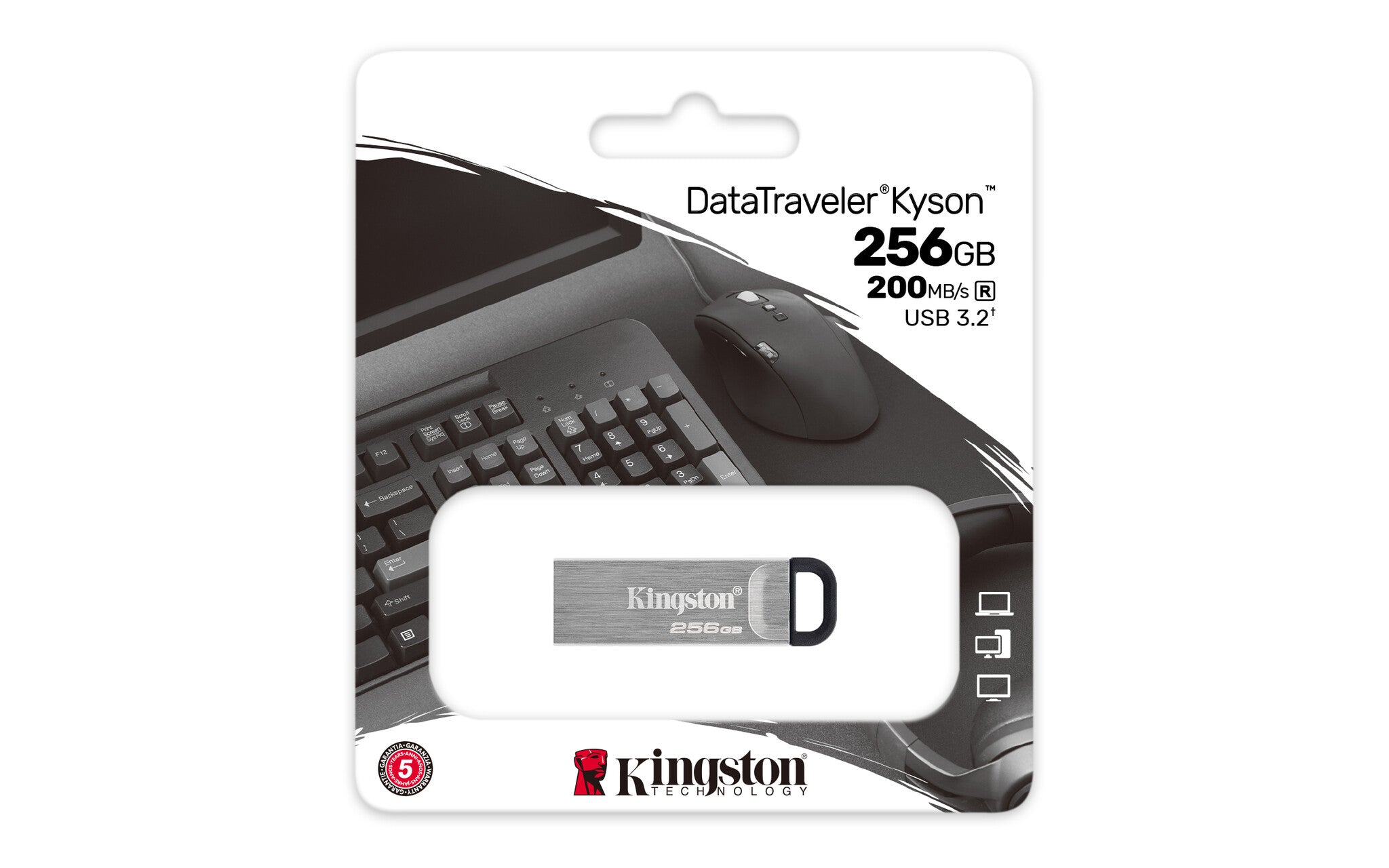 Kingston Technology DataTraveler Kyson unidad flash USB 256 GB USB tipo A 3.2 Gen 1 (3.1 Gen 1) Plata