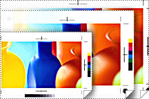 Papel Epson 13x100 Proofing White Semimatte Rollo