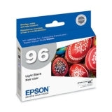Epson Stylus Photo R2880 Light Black Ink