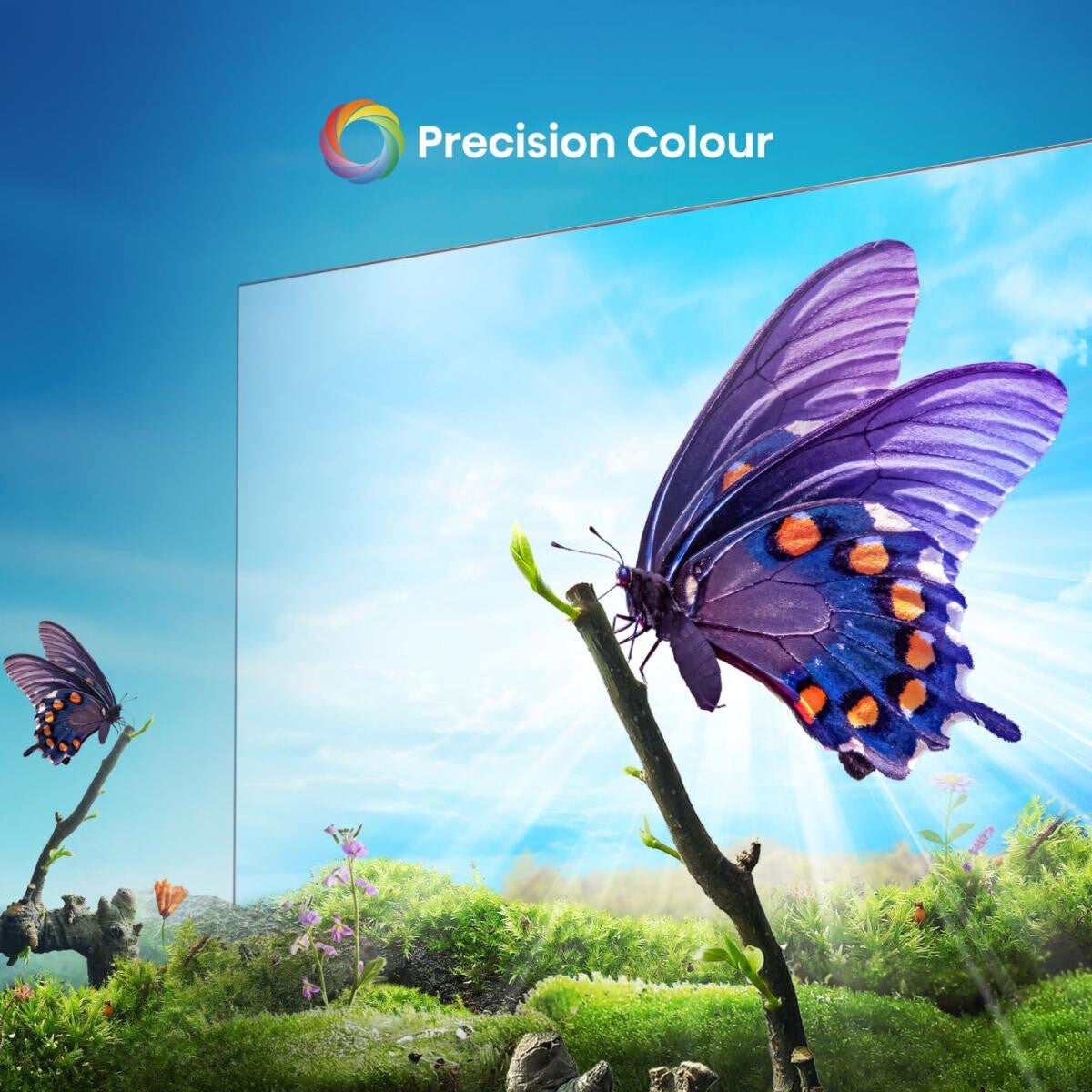 Hisense 85A6N 2.16 m (85") 4K Ultra HD Smart TV Wifi Negro 400 cd / m²