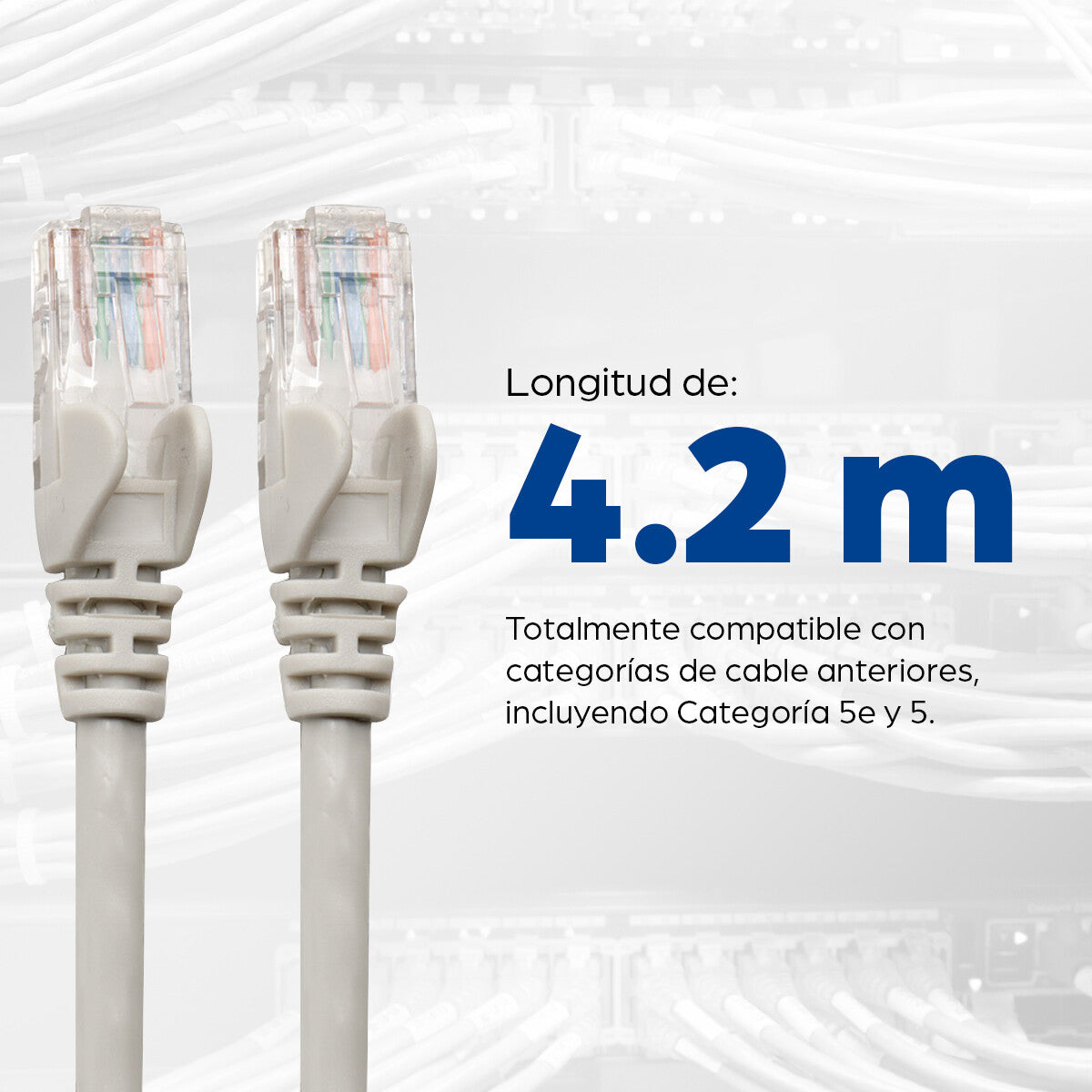 Intellinet Cable Patch Cat6, UTP