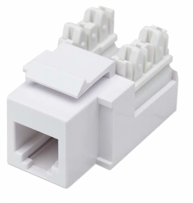 Intellinet JACK RJ11 RJ12 KEYSTONE DE IMPACTO BLANCO