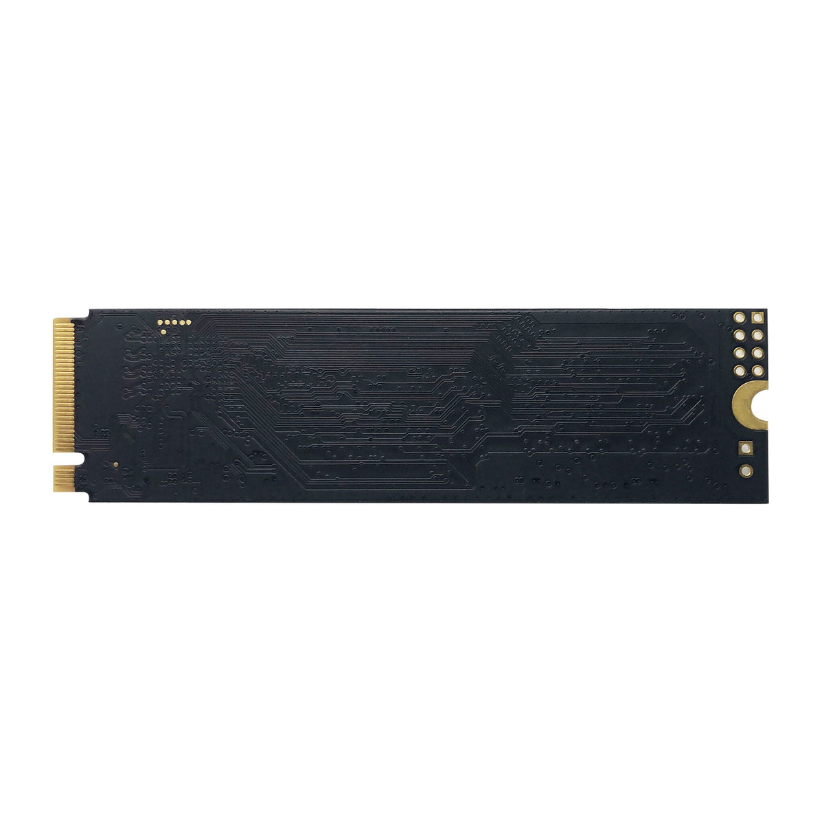 Patriot Memory P300P512GM28 unidad interna de estado sólido 512 GB M.2 PCI Express NVMe