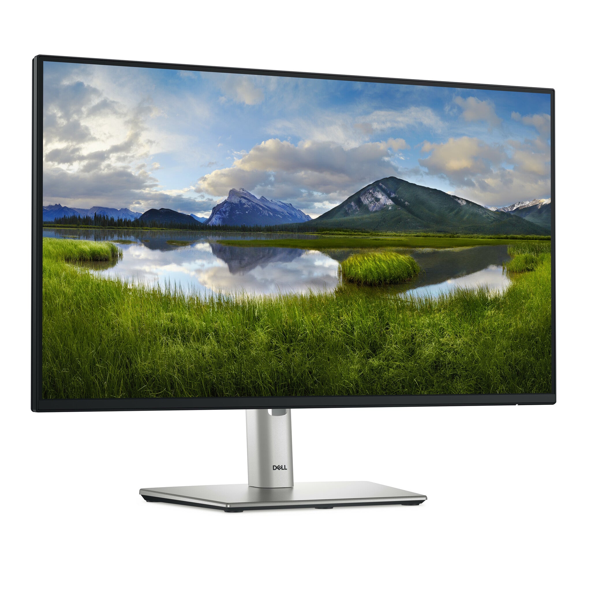 DELL Pro Plus P2425H monitor de computadora 60.5 cm (23.8") 1920 x 1080 Pixeles Full HD LCD Negro
