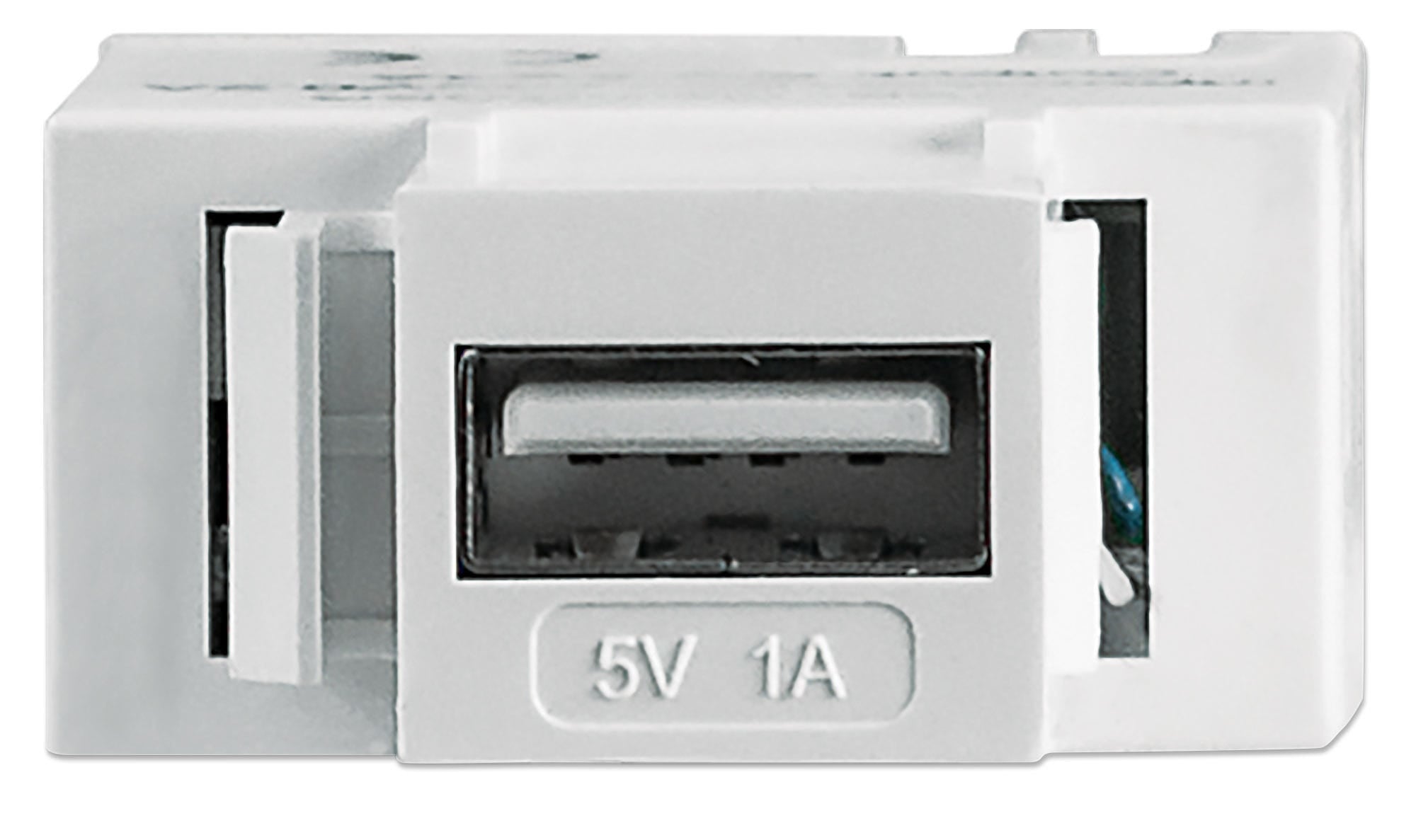 Jack Intellinet Keystone Puerto USB de Carga 5V/1A Color Blanco