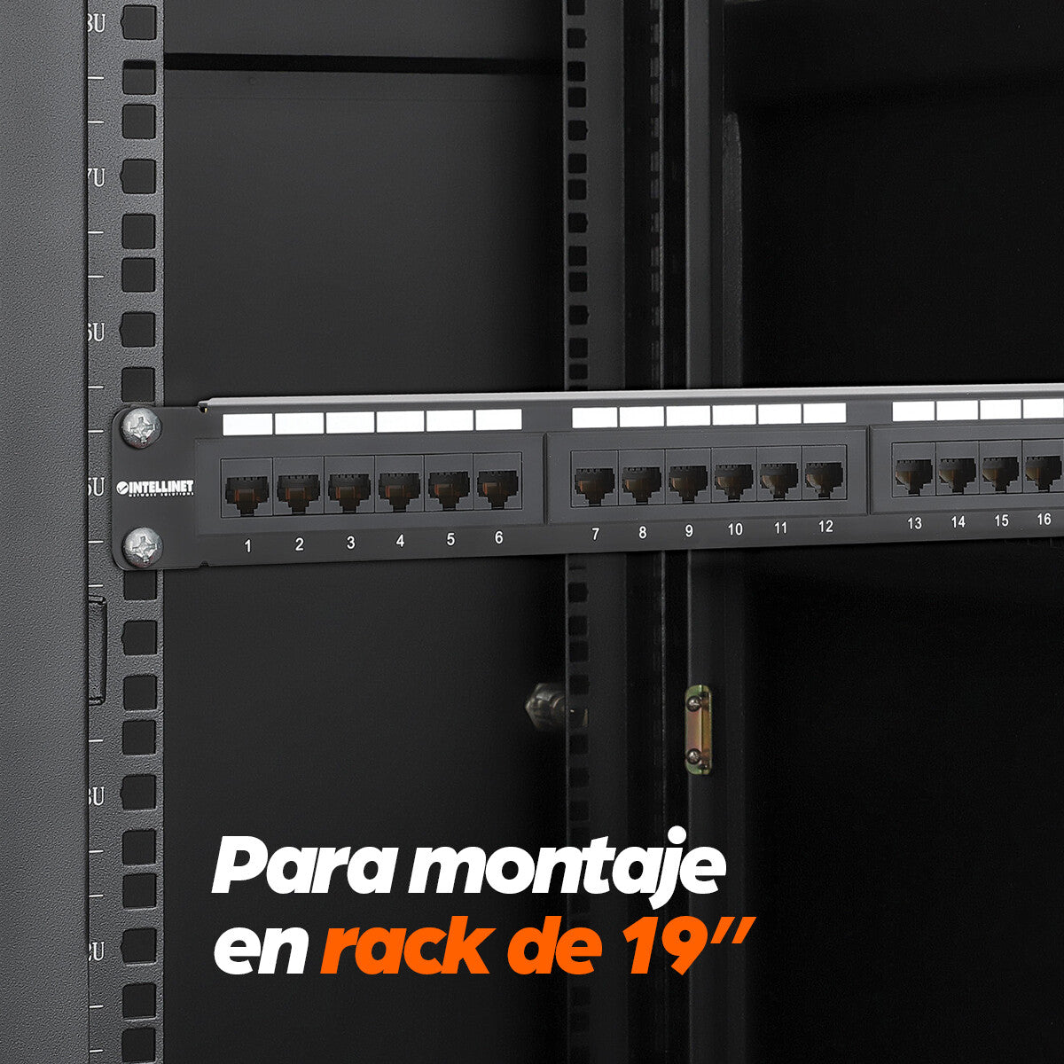 Intellinet Panel de Parcheo Cat6