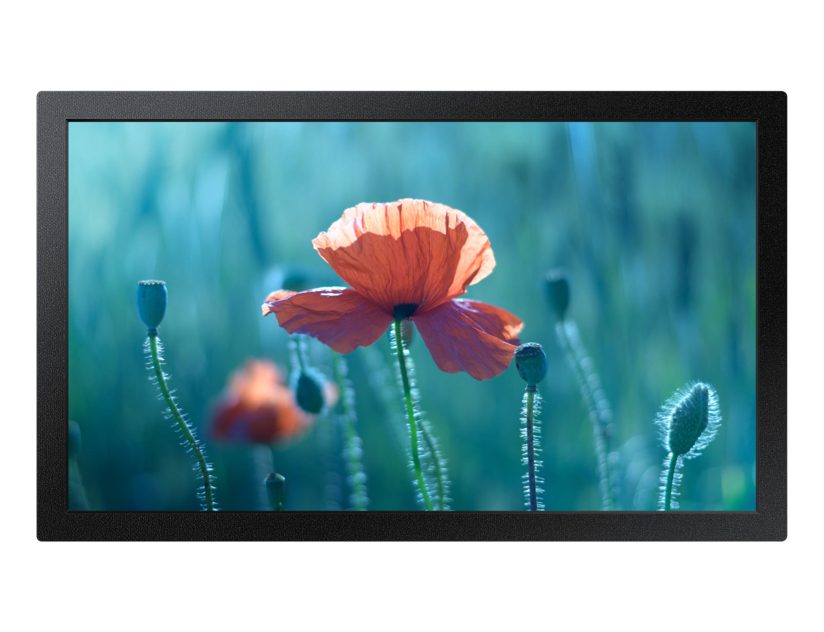 Samsung 13" Smart Signage Edge QBR LED FHD TV 1920x1080 Resolution Tizen4 0 16/7 Operation 500 Nits