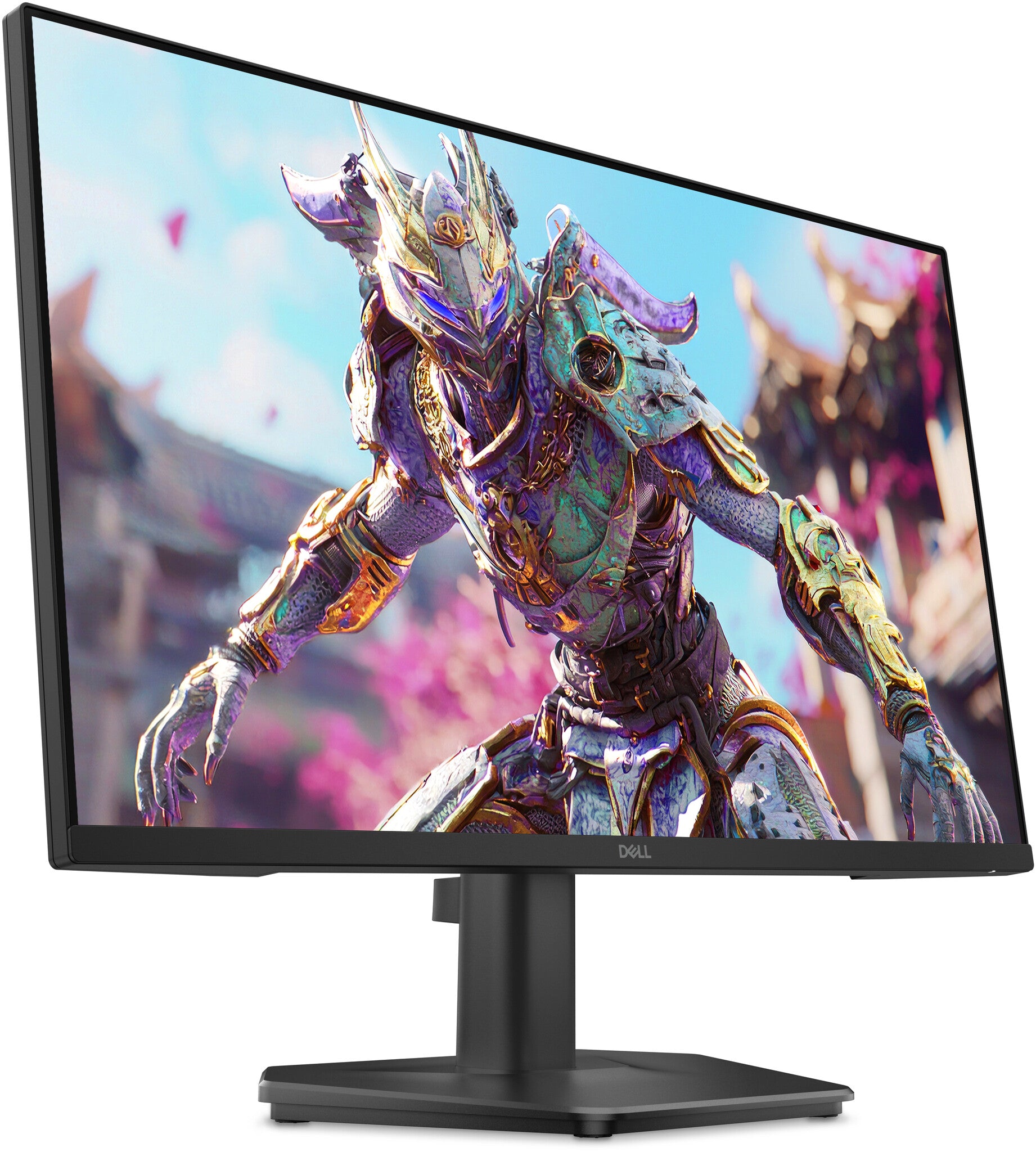 DELL SE2426HG monitor de computadora 60.5 cm (23.8") 1920 x 1080 Pixeles Full HD LCD Negro