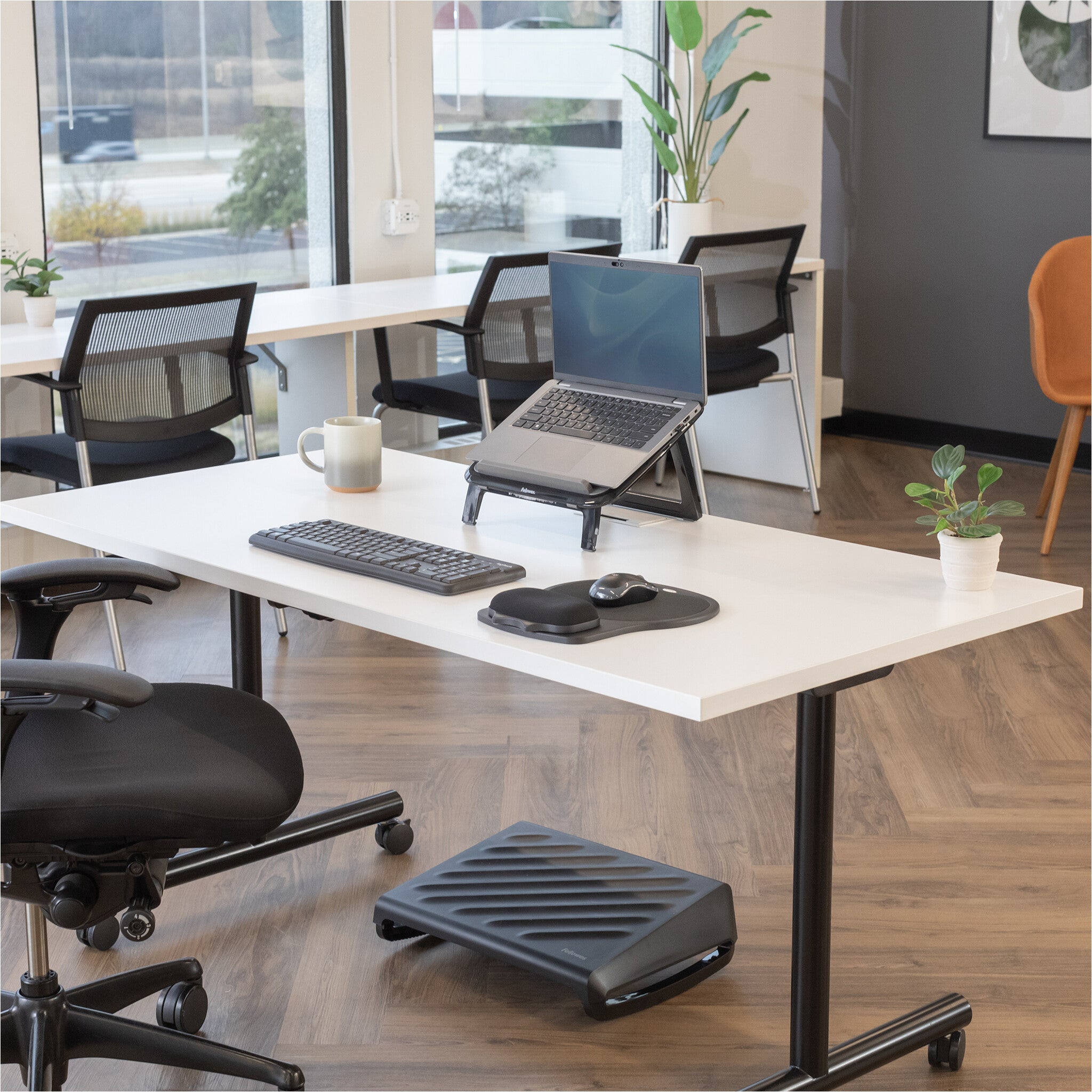 Fellowes Breyta Negro