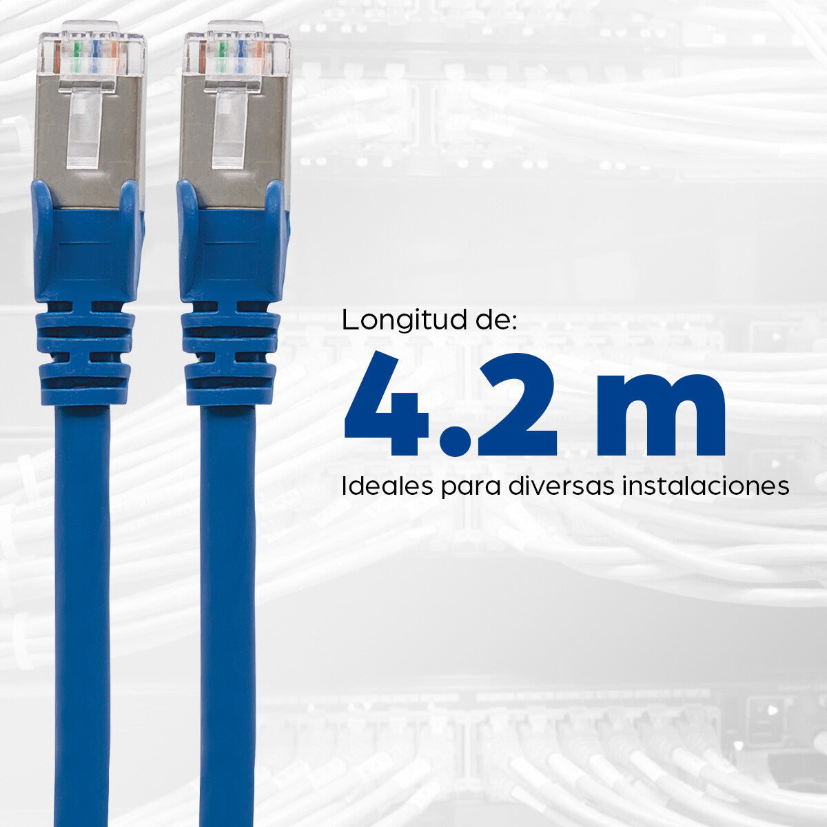 Intellinet Cable Patch Cat6a, S/FTP