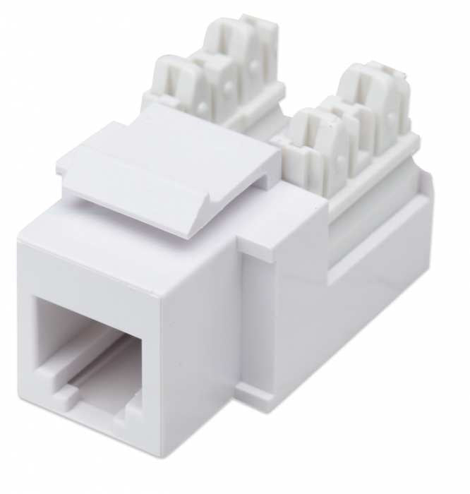 Jack Intellinet RJ11/RJ12 de Impacto Color Blanco
