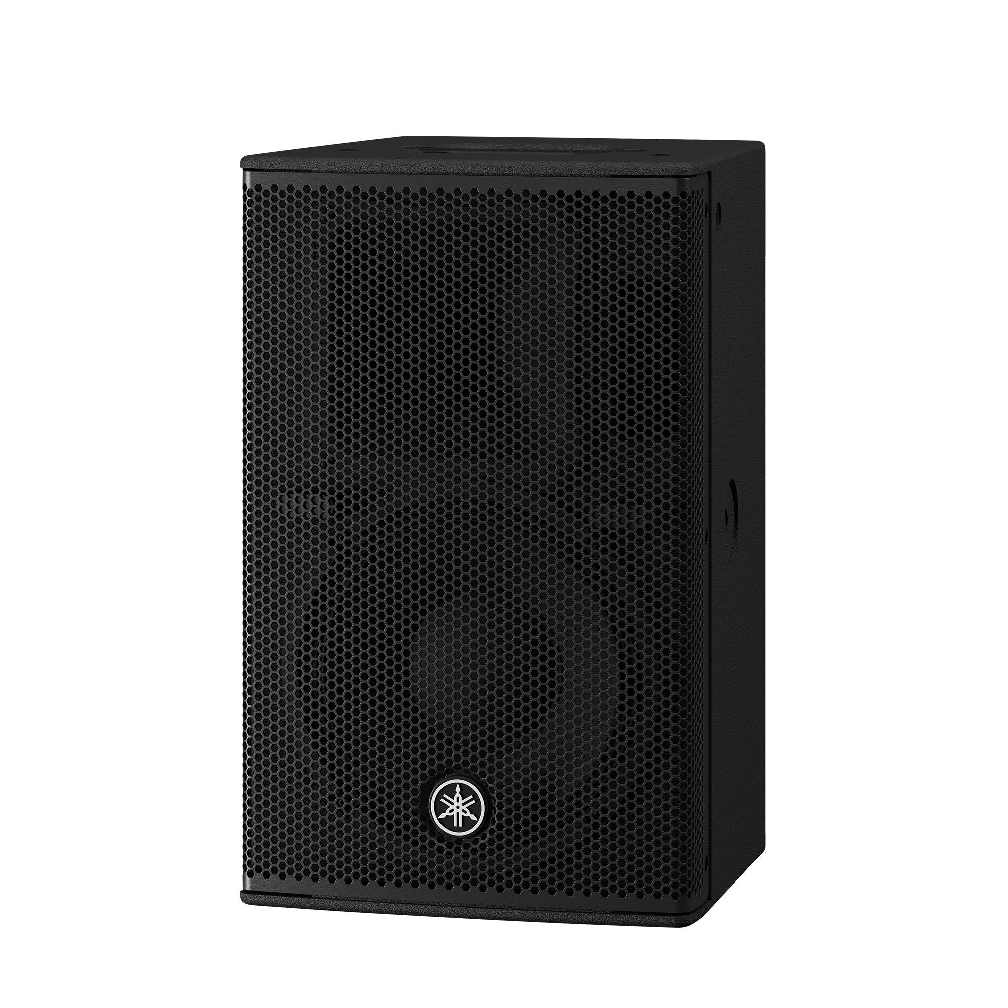 Altavoz Amplificado 10 in | Potencia: 700w | Amplificacion Clase-D | Hecho en Madera | Para aplicaciones de Instalacion y Refuerzo Sonoro