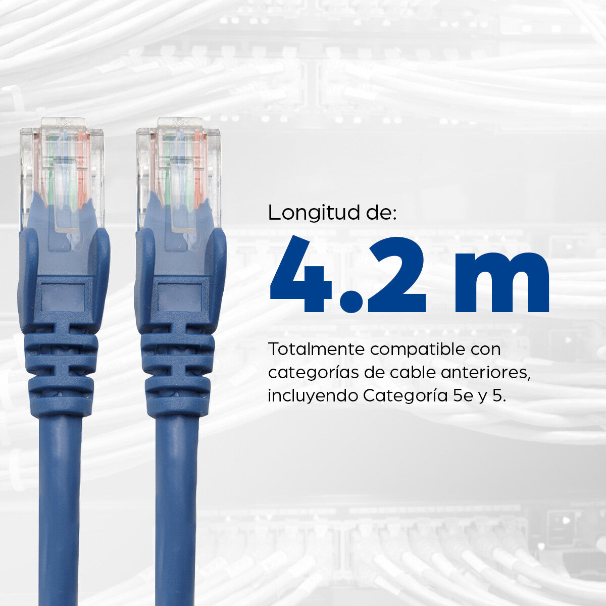 Intellinet Cable Patch Cat6, UTP