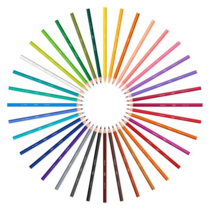BIC Evolution Colored Pencils 3mm Lead Pack of 24