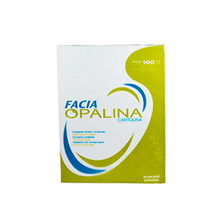 Facia Opaline Cardstock, White, Letter Size, 100 Sheets, 225gsm