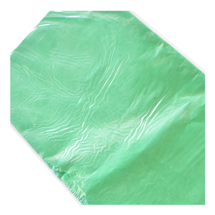 Dietrix Tissue Paper 50x70cms Flag Green Pack of 25 Sheets