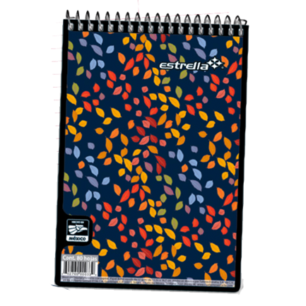 STAR PAD SHORTHAND SPIRAL SHORT 80-B