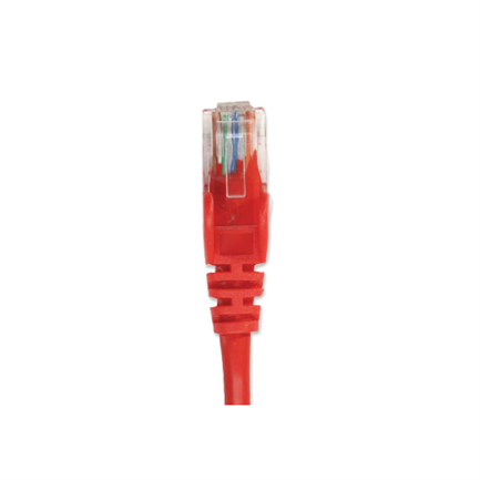 Cable Intellinet Red Cat6 UTP RJ45 M-M 1.5m Color Rojo