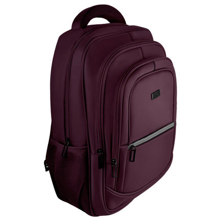Perfect Choice Essentials Laptop Backpack for 15.6 to 17 inch Laptops with 4 Compartments, Purple