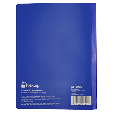 Nextep Professional Large Grid C7 Notebook 100 Sheets Stitched