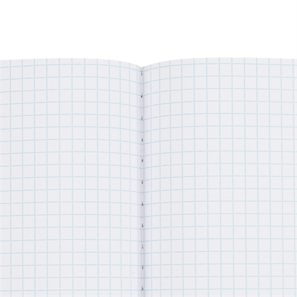 Nextep Professional Large Grid C7 Notebook 100 Sheets Stitched