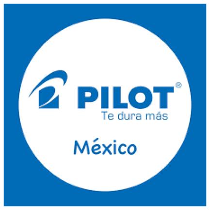 Marcador Pilot TEXTIL Laundry-Tec tinta permanente e impermeable C/12 Pzas