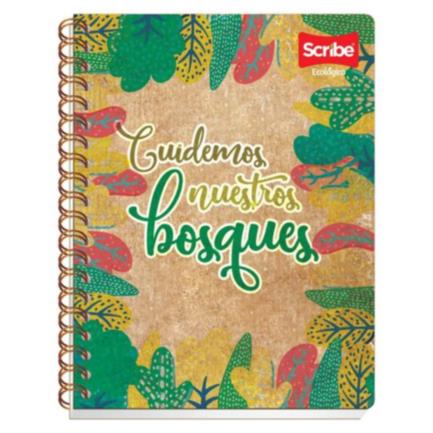 Scribe Double Spiral Professional Lined Notebook 100 Sheets Ecological 24-Pack