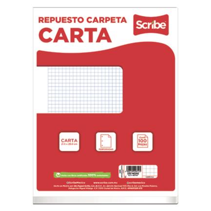 Paquete de Hojas Scribe Carta Cuadro Chico C/5 100 Hojas