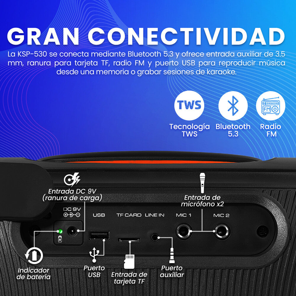 Vorago KSP-530 altavoz portátil y para fiesta Altavoz portátil estéreo Negro 40 W