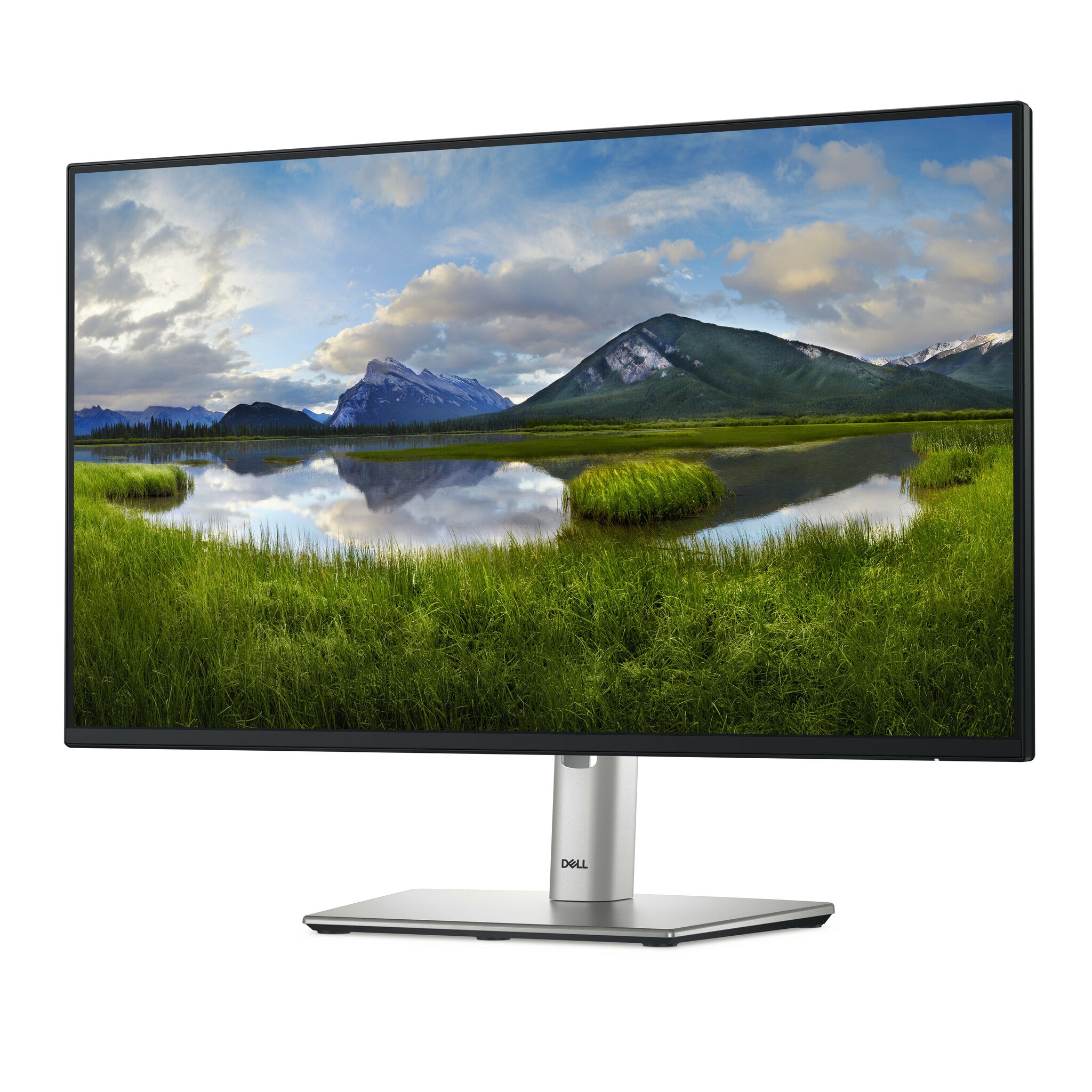 DELL Pro Plus P2425H monitor de computadora 60.5 cm (23.8") 1920 x 1080 Pixeles Full HD LCD Negro