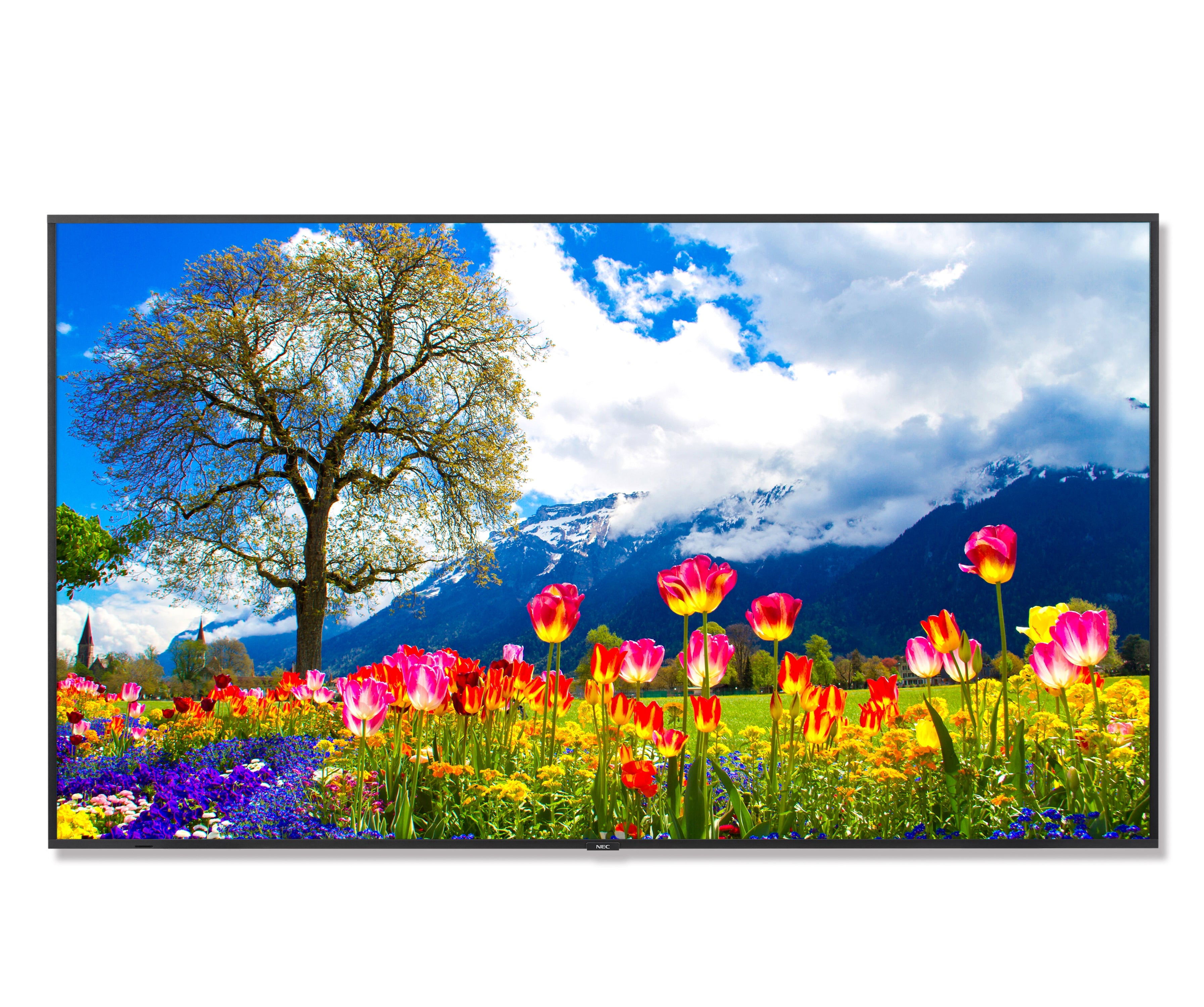 MONITOR PROFESIONAL DE 98 NEC M981 UHD 3840 X 2160 24/7, 500 CD/M2 COMPATIBLE CON INTEL SDM Y RPI COMPUTE MODULE 4, VERTICAL/HORIZONTAL, 2 HDMI/HDCP, 2 DISPLAYPORT/HDCP, VGA, RJ-45