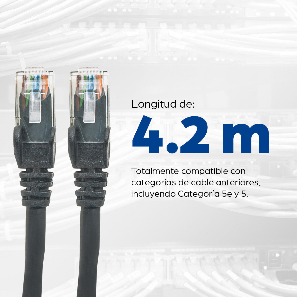 Intellinet Cable Patch Cat6, UTP