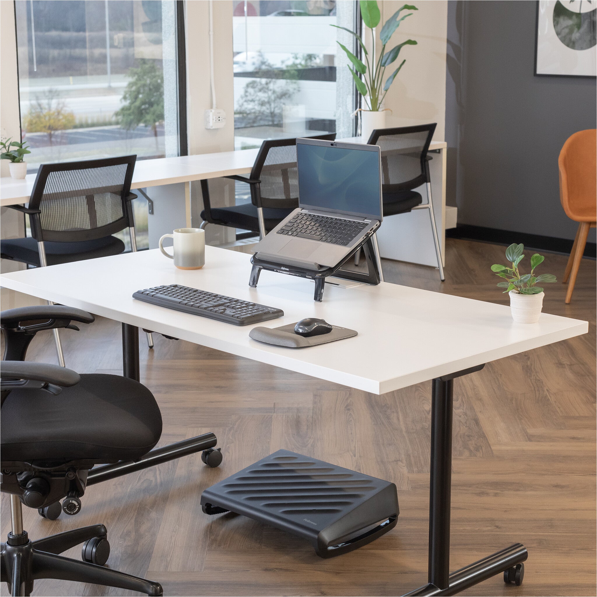 Fellowes Breyta Negro