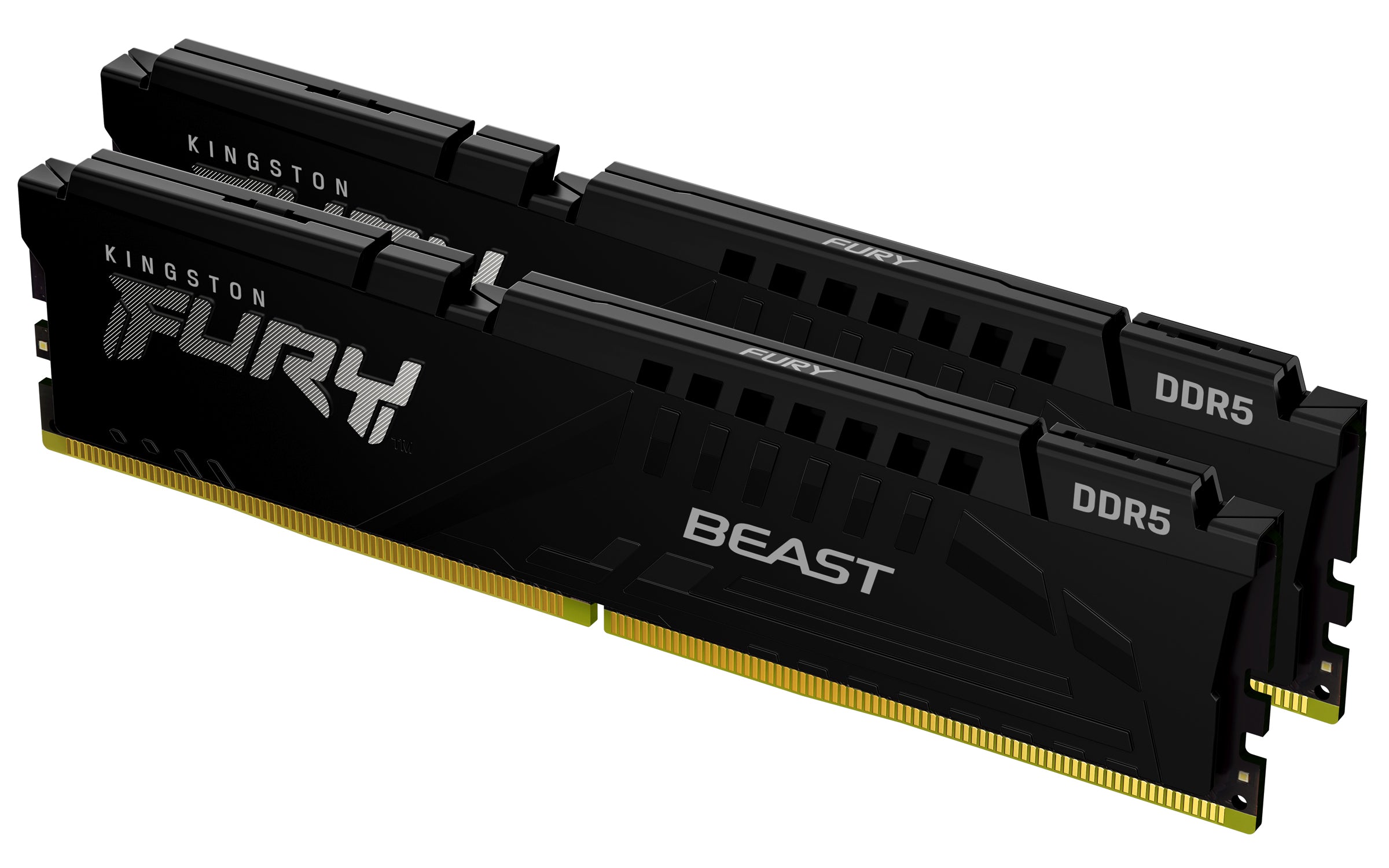 Memoria RAM Kingston Technology FURY BEAST