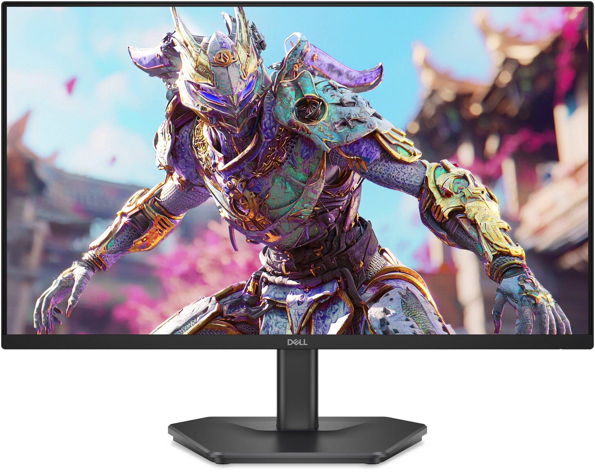 DELL SE2426HG monitor de computadora 60.5 cm (23.8") 1920 x 1080 Pixeles Full HD LCD Negro