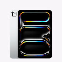 IPAD PRO 11 CHIP M5 / WI-FI / 256GB/ PLATA
